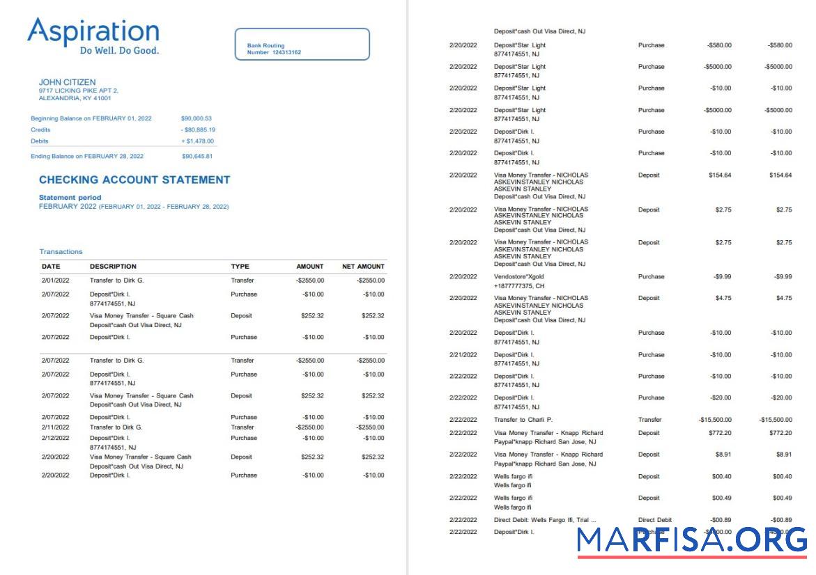 Blank Egypt Aspiration bank statement word real example
